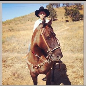 Meet your Posher, Peter